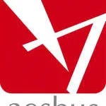 Aesbus company logo