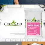 Growsari Inc company logo