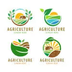 LMercado Agri Farms company logo