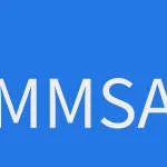 Metro Main Star Asia Corp. company logo