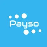 Payso Inc company logo