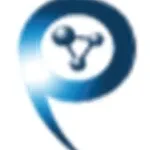 Professional Marketing Insights Incorporated company logo