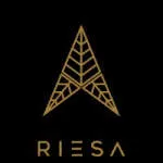 Riesa Management Inc company logo
