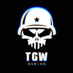 TGW Gaming and Amusement Inc. company logo