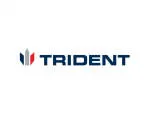 Trident Digital company logo