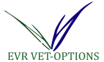 EVR VET OPTIONS CORP. company logo