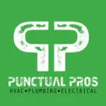 PunctualPro VA company logo