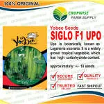 YOBEE SEEDS CORPORATION company logo