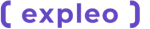 Expleo Group company logo