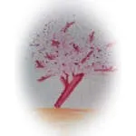 Latched Creative Inc. company logo