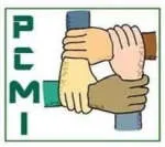 PEERS CARGO MOVERS INC. company logo