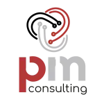 PMConsulting company logo