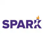 Sparkblaze Digital company logo