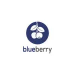 Blueberry company logo