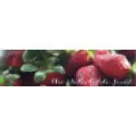 Delectable Feast Corporation company logo