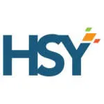 HSY Consulting Services and Solutions company logo