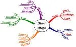 Mindmap company logo
