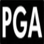 Philippe Gadgets & Accessories, Inc. company logo