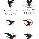 RobbieStylographic and Development Corporation company logo