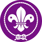 Scout Reyes Branch company logo