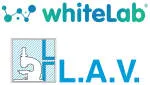 White Labs Media PTY LTD company logo