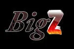 Big Z Quality Foods Corporation company logo